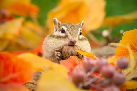 心と体が気づく「秋の気配」って？